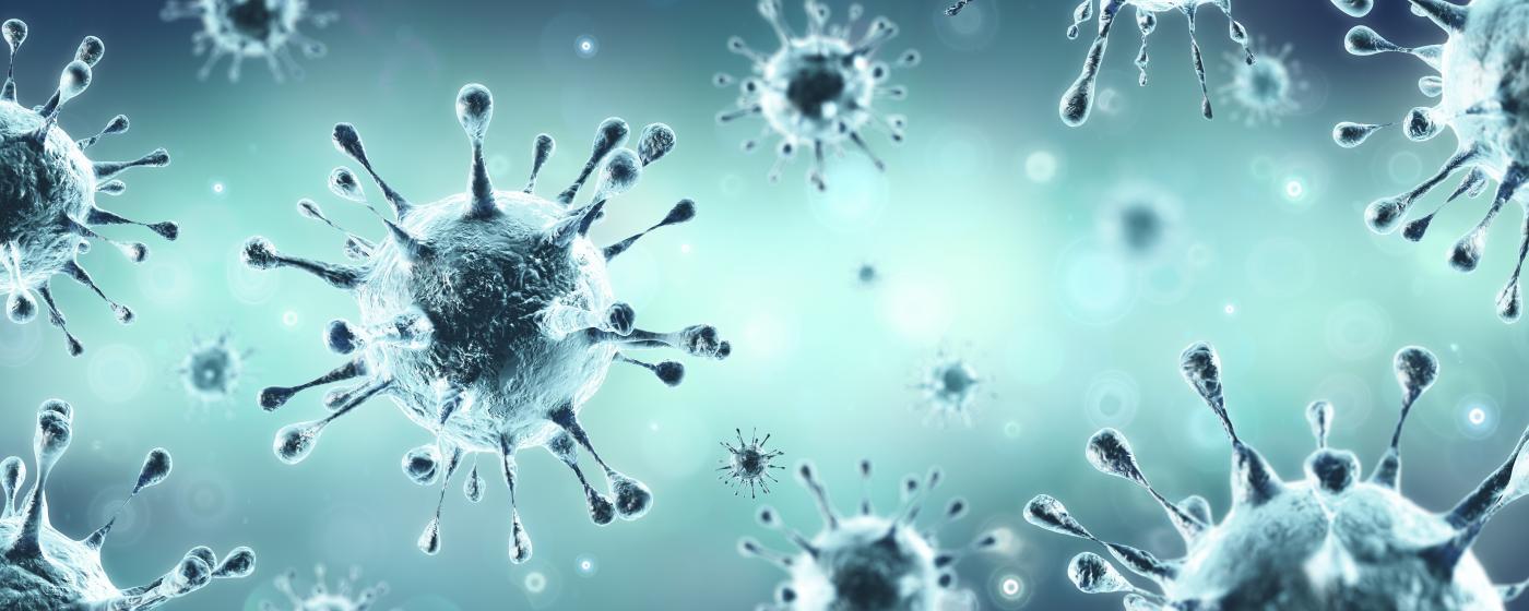 Virus