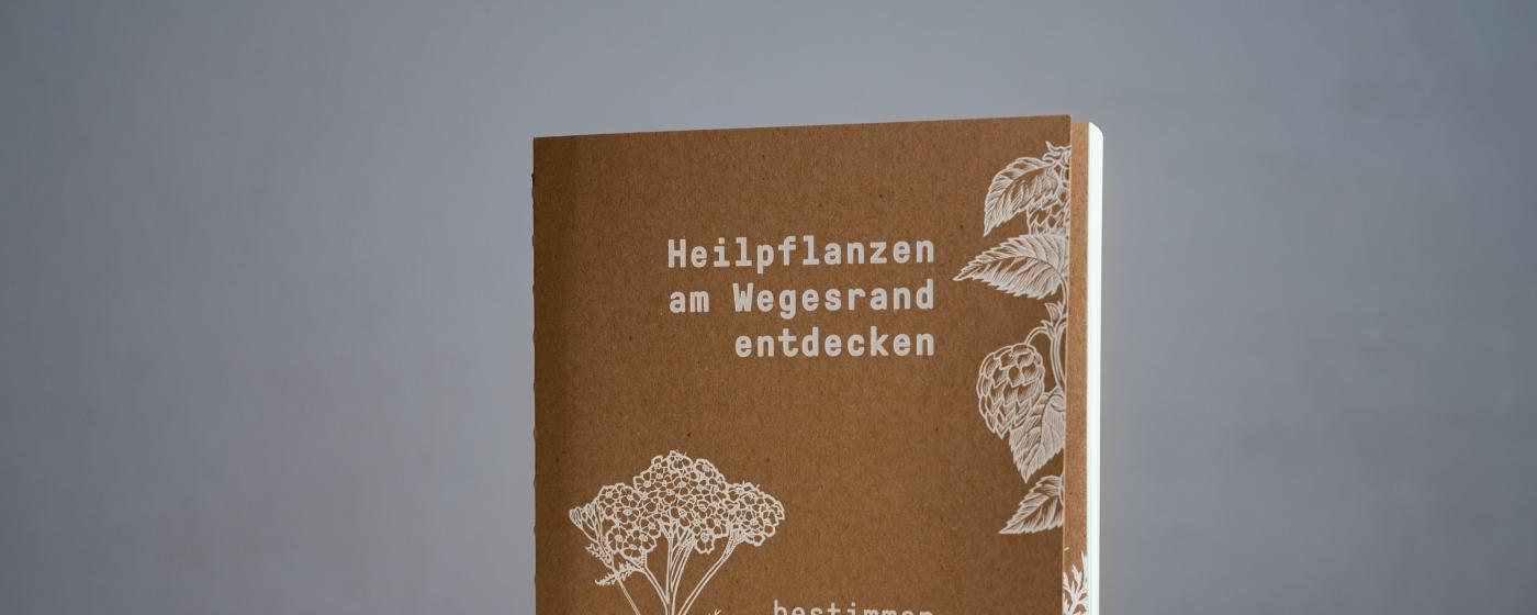 Buch Heilpflanzen am Wegesrand entdecken