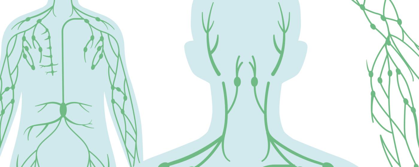 Lymphsystem