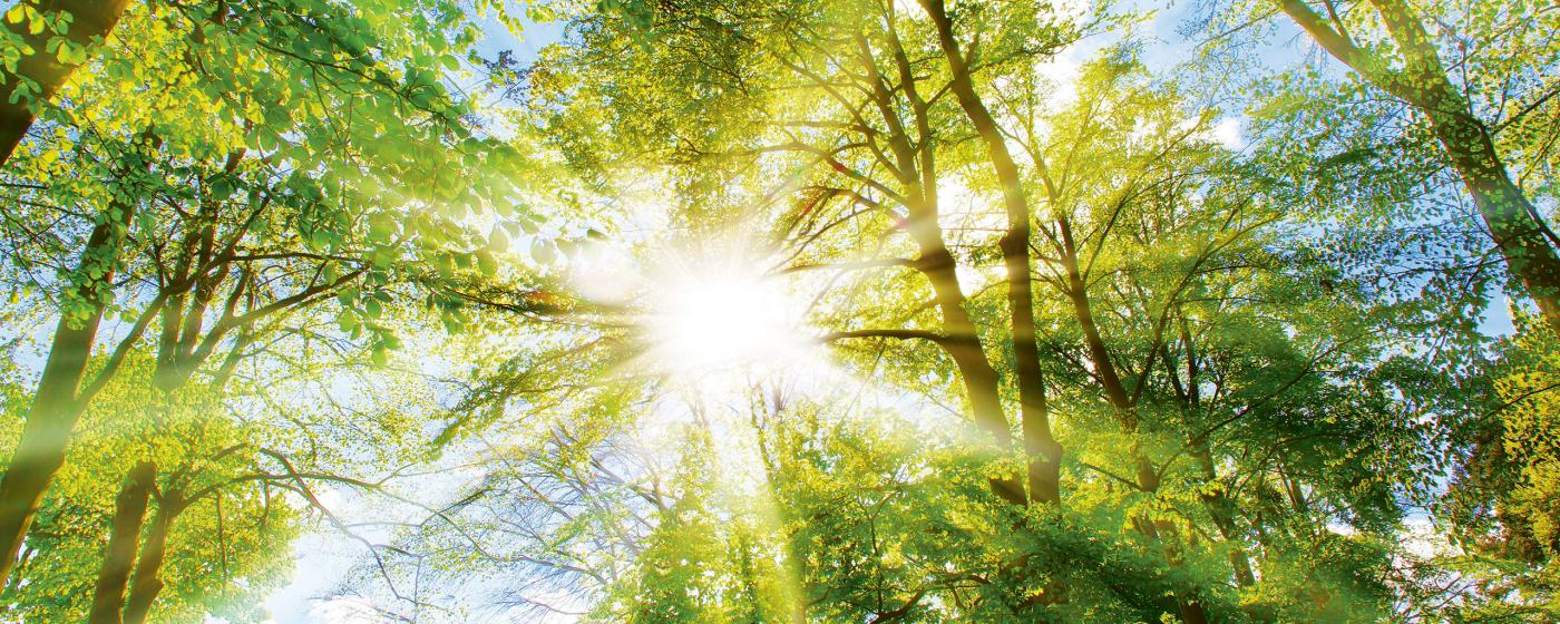 Sonne